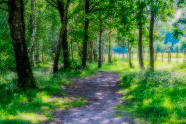Landschaft