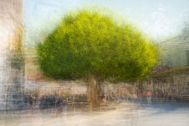 Baum